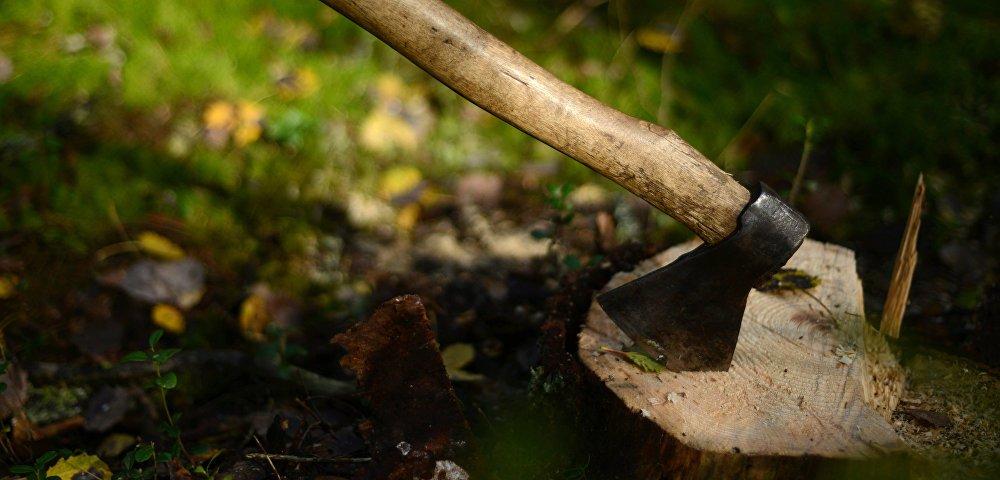 Ни лесов, ни денег. В Эстонии Данию назвали главной виновницей разрушения окружающей среды