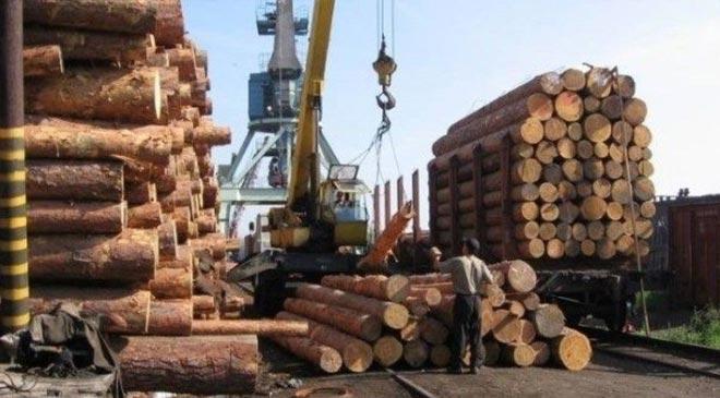 You are currently viewing ЕС требует от Украины отменить мораторий на вывоз древесины
