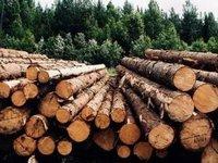 Арбітраж із ЄС щодо заборони Україною експорту лісу-кругляку може коштувати Україні до EUR1 млн +