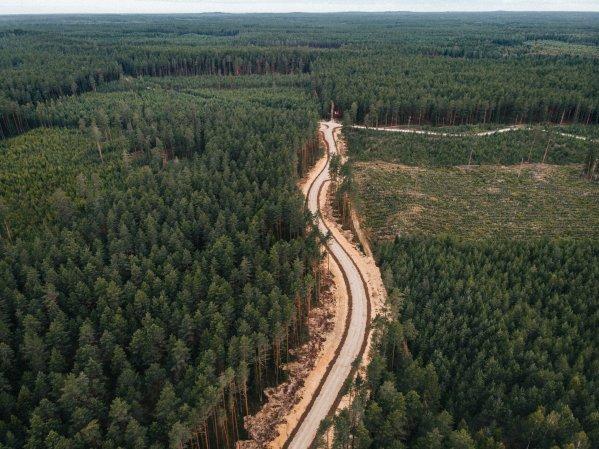 Самолеты будут летать на древесине