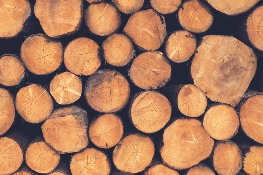Почему в ближайшие годы древесина станет популярной?