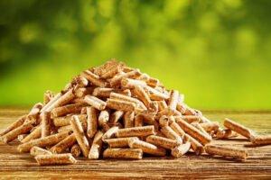 CIRI инвестирует в предприятие по производству топлива из древесной биомассы
