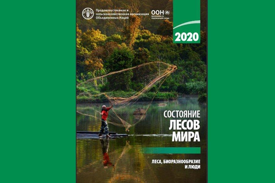 Состояние лесов мира в 2020 году: леса, биоразнообразие и люди
