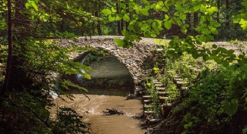 Новые водопропускные трубы в лесах на ручьях и малых речках, — подарок для водных животных.