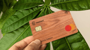 Ecosia інвестувала більше мільйона доларів у дерев’яні платіжні картки
