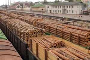 Российский экспорт круглого леса продолжает снижаться