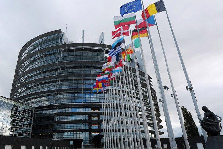 Парламент ЕС утвердил отчет о будущей лесной стратегии