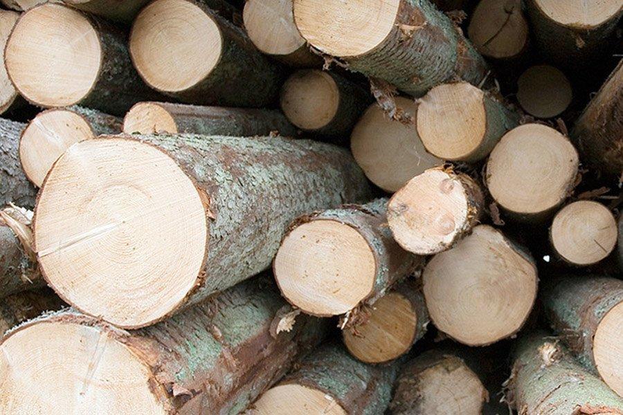 Södra повышает цены на еловый пиловочник