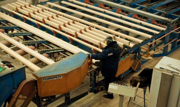 В Україні знизився продаж сирої деревини, але зросла деревообробка