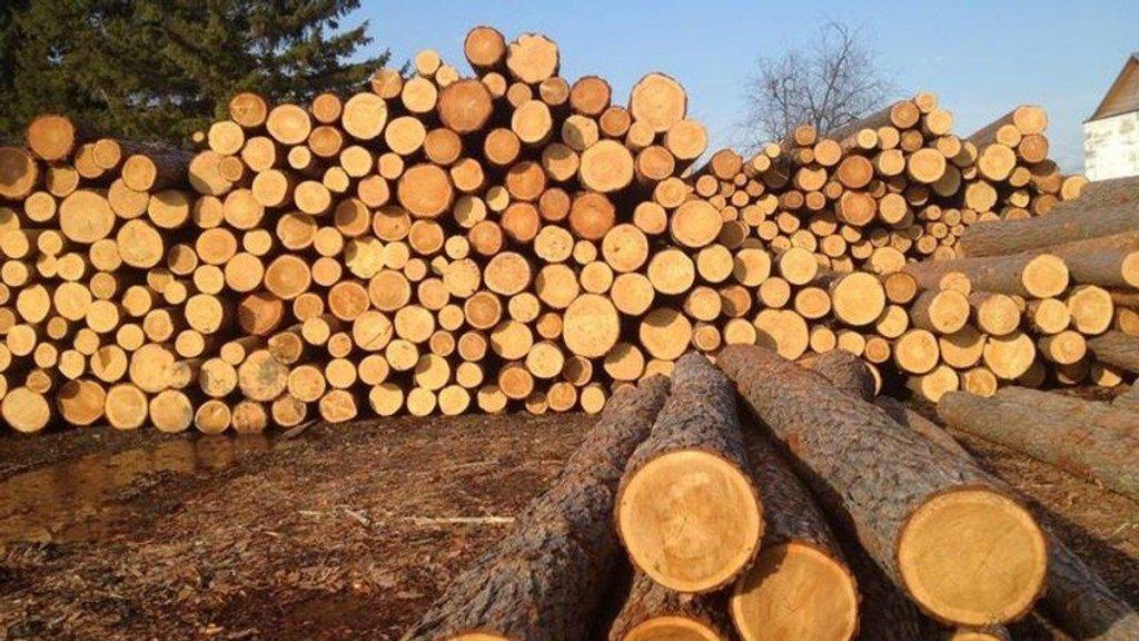 ВЛИЯНИЕ ПАНДЕМИИ COVID-19 НА РЫНКИ ДРЕВЕСИНЫ ХВОЙНЫХ ПОРОД