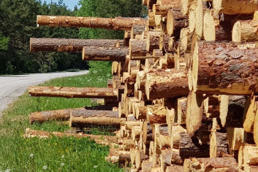Лесные компании Юго-Восточной Эстонии ищут сырье в Беларуси
