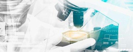 Библиотека ForestBioFacts для профессионалов лесного сектора