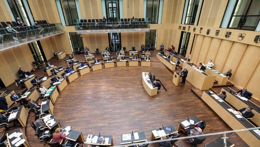 Германия: Федеральный совет призывает ограничить вырубку ели