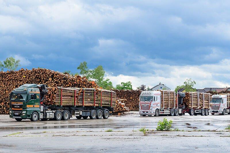 Bundesforste впервые тестирует бесконтактную логистику древесины