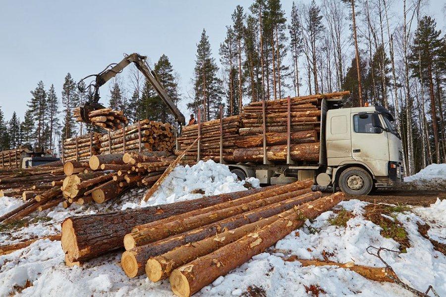 Segezha Group переводит учет и контроль вывозки древесины на цифровую систему диспетчеризации
