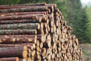 Норвегия: цены на промышленную древесину продолжают снижаться