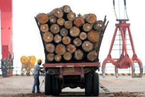 Китай блокирует импорт австралийской древесины из-за расширения торгового спора