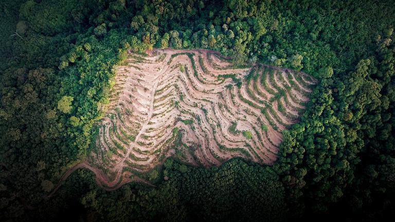 Отчет IPBES подробно описывает путь выхода из нынешней «пандемической эры»