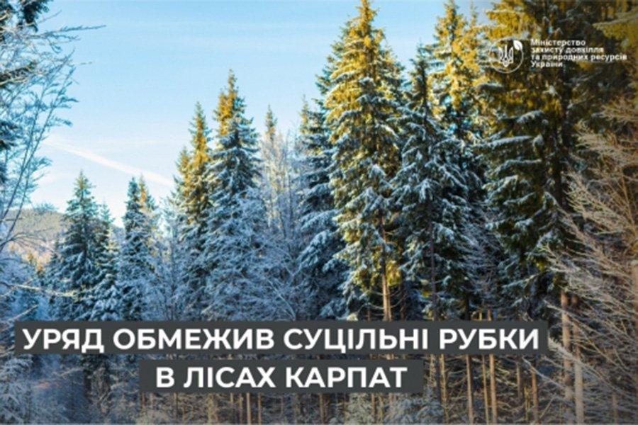 Правительство ограничило сплошные рубки в лесах Карпат