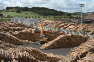 Германия: спрос на свежую древесину на обычном сезонном уровне