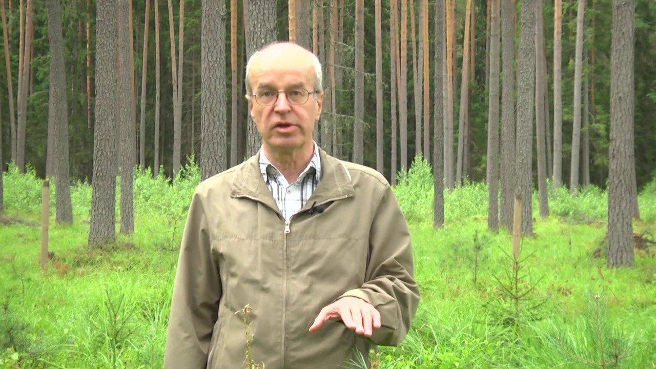 Председателем совета RMK избран Харди Туллус