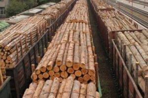 Европа ожидает окончательного решения по спору между Украиной и ЕС о запрете экспорта леса-кругляка до конца года