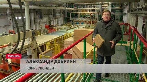 Уникальная плита из Мозыря (+видео)