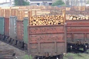 Арбитражный суд признал недопустимым запрет на экспорт круглого леса