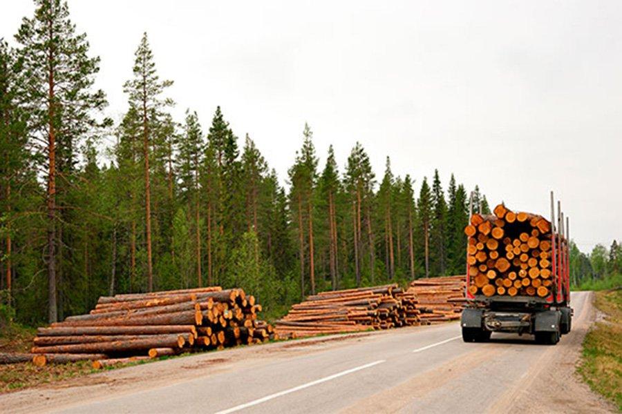 Заготовка древесины в Финляндии в 1-3 кварталах снизилась на 15%