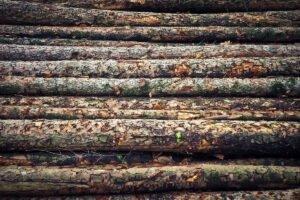 Внешняя торговля круглым лесом Финляндии сократилась в 2020 году