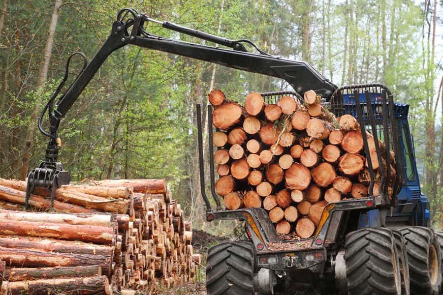 Дефицит круглых лесоматериалов на юге Австрии усиливается