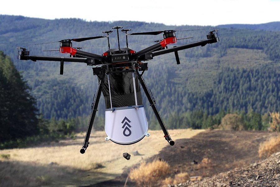 You are currently viewing В ForestTech Accelerator рассказали о том, как дроны меняют лесную отрасль