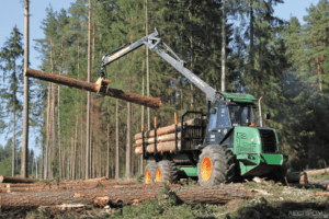 Дефицит древесины в Беларуси ударил по мелкому бизнесу