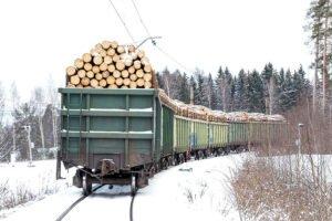Из-за проверок со стороны Пекина на российско-китайской границе скопились поезда с лесопродукцией
