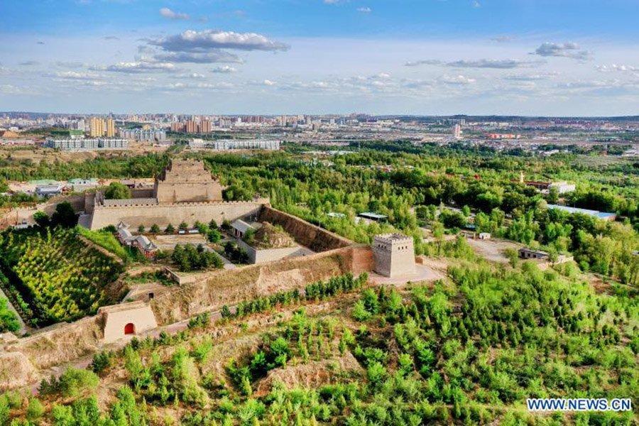Кампания по лесонасаждению продолжается