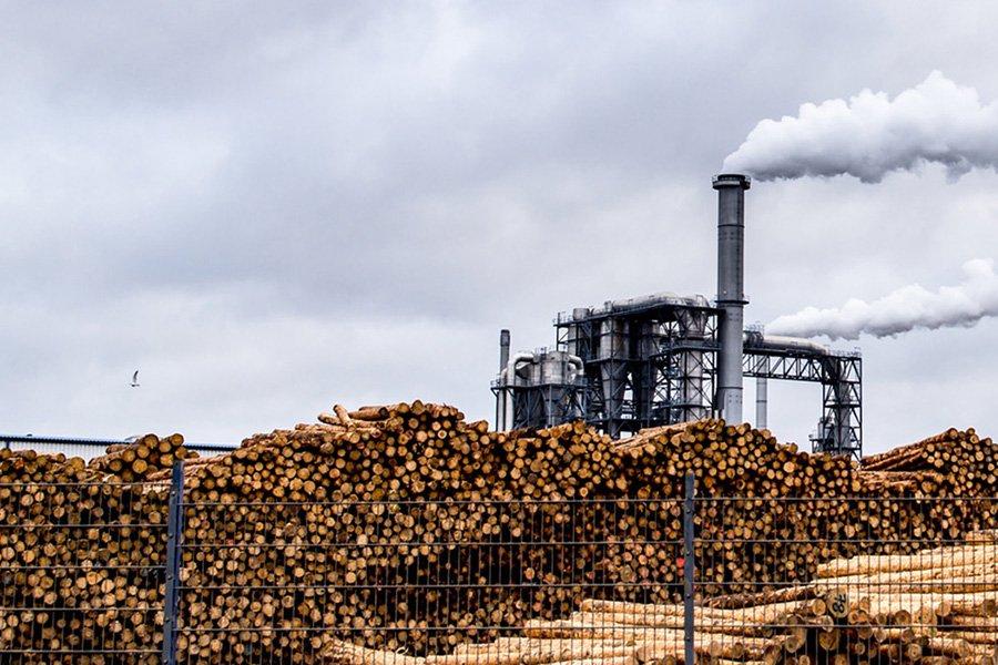 Производители плит повысили цены на деловую древесину