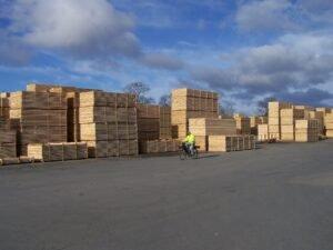 Тюрингия: Спрос на древесину растет и это помогает лесу