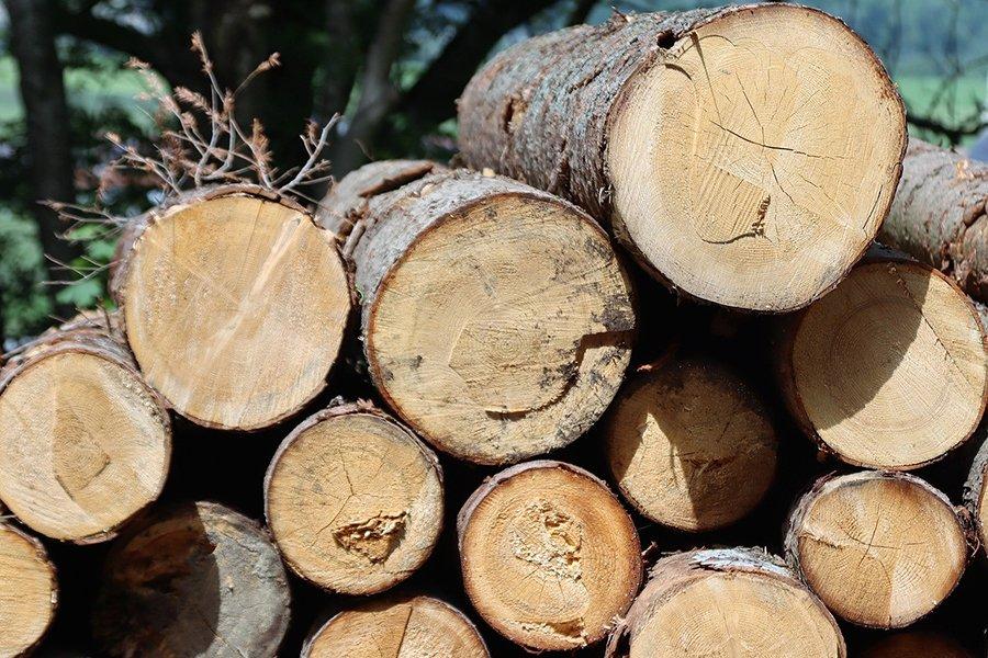 You are currently viewing В Китае оставили в силе запрет на ввоз круглого леса из Австралии