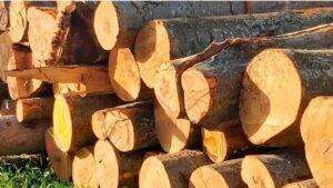 Энергия из древесины покрывает более 40% потребности в отоплении помещений в Австрии.