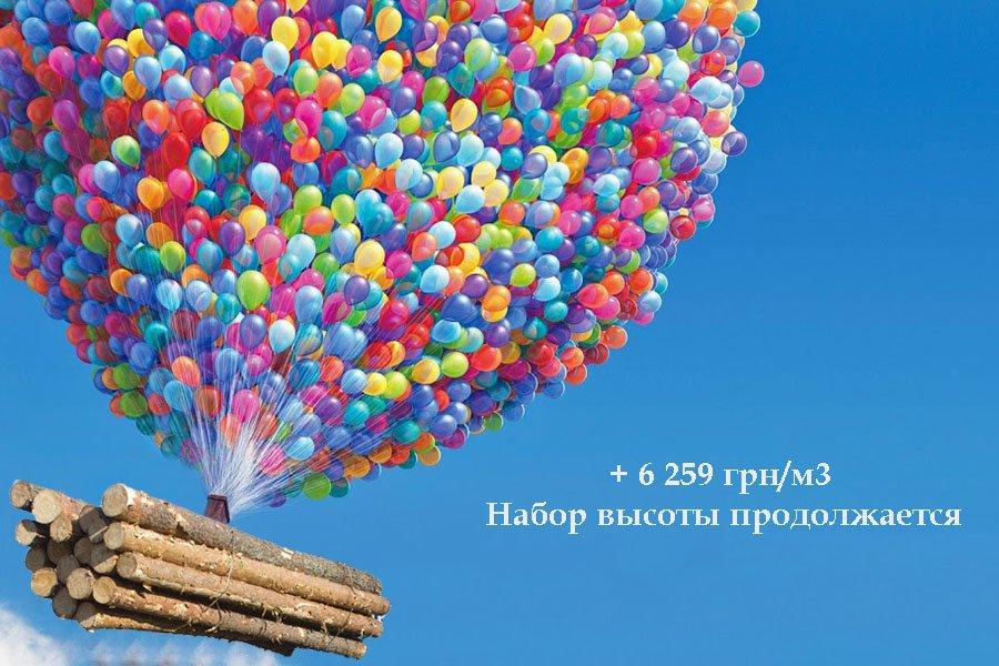 You are currently viewing Украина: цена на пиловочник хвойных пород выросла на 462%