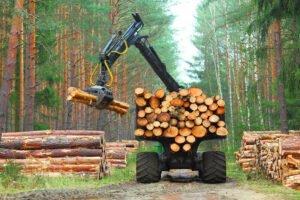 Цены на промышленный круглый лес в Австрии будут пролонгированы
