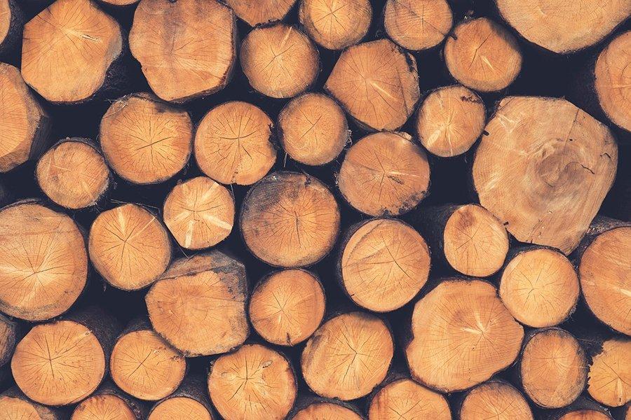 You are currently viewing В Лесном кодексе зафиксируют понятия необработанных и обработанных лесоматериалов