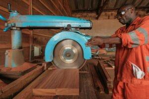 Повышение законности и прозрачности в торговле древесиной