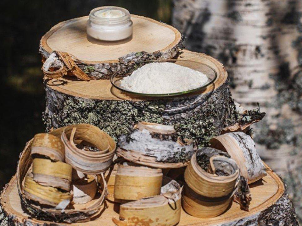You are currently viewing Metsä Spring инвестирует в стартап по производству ценных биоактивных продуктов из бересты