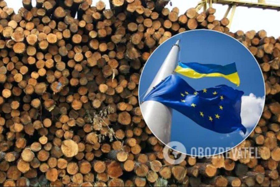 You are currently viewing Отмена моратория на экспорт леса поставит крест на украинской промышленности: бизнес ответил Кабмину