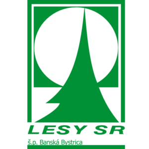 Бизнес-стратегия государственного предприятия LESY Slovenské republiky