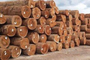 Гана: объем экспорта древесины во втором квартале увеличился вдвое
