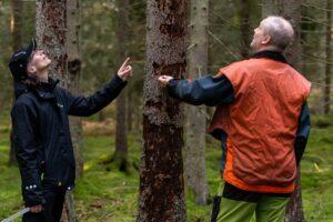 Гораздо большее поражение леса жуками ожидается в Швеции в 2021 году