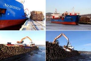 Норвегия экспортирует еловый пиловочник в Германию