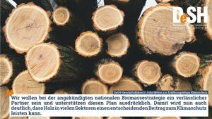 Национальная стратегия использования биомассы Германии: древесина для строительства, энергетика и изменение климата